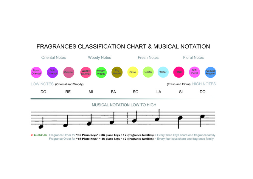 Perfume Notes Chart